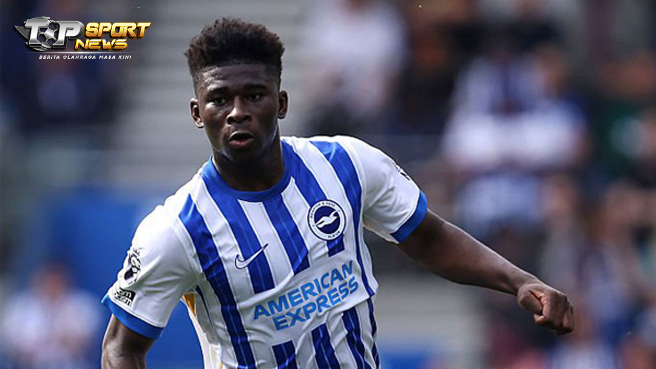 Carlos Baleba Jadi Rebutan, Brighton Pasang Harga Tak Masuk Akal